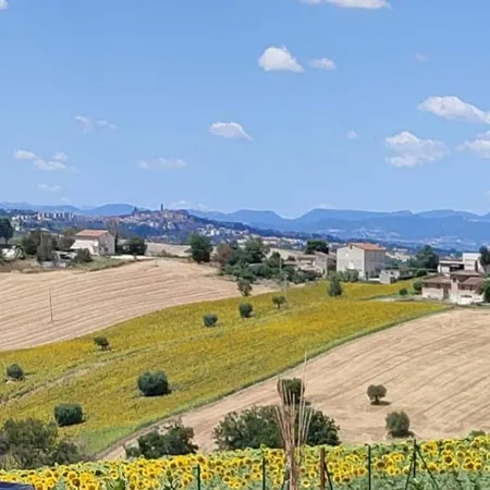 Le Parole Del Gelso * Morrovalle