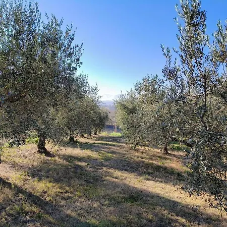 Σπίτι διακοπών Le Parole Del Gelso Morrovalle