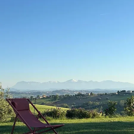 Le Parole Del Gelso Morrovalle
