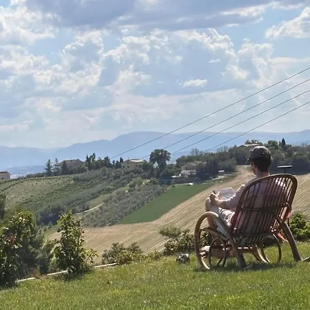 Le Parole Del Gelso Morrovalle