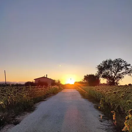 Le Parole Del Gelso Σπίτι διακοπών Morrovalle